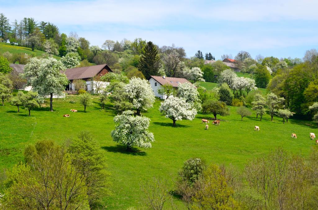 Ferienwohnung Vonwald Michelbach Bagian luar foto