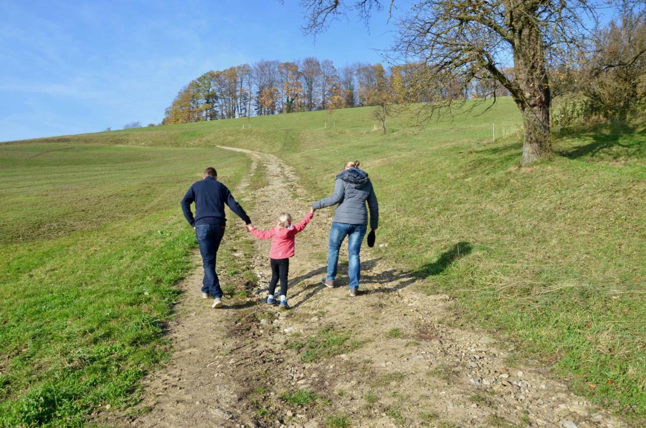 Ferienwohnung Vonwald Michelbach Bagian luar foto